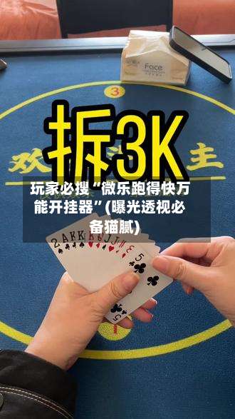 玩家必搜“微乐跑得快万能开挂器”(曝光透视必备猫腻)-第3张图片