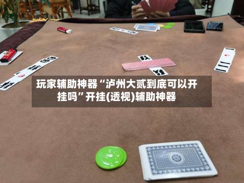 玩家辅助神器“泸州大贰到底可以开挂吗”开挂(透视)辅助神器-第1张图片