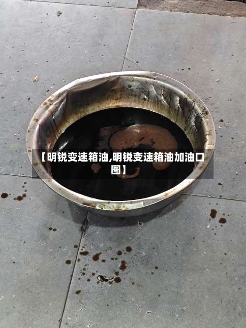 【明锐变速箱油,明锐变速箱油加油口图】-第2张图片