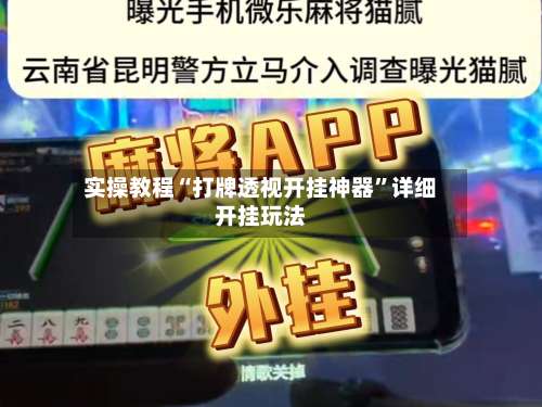 实操教程“打牌透视开挂神器”详细开挂玩法-第2张图片