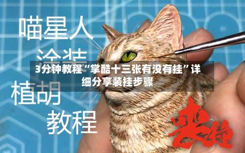 3分钟教程“掌酷十三张有没有挂	”详细分享装挂步骤-第2张图片