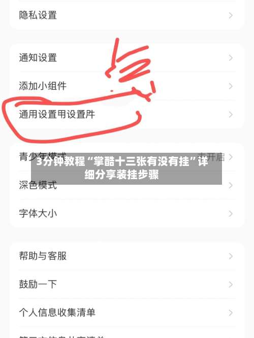 3分钟教程“掌酷十三张有没有挂”详细分享装挂步骤-第1张图片