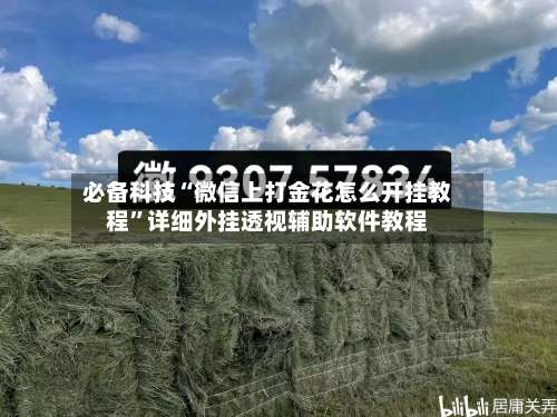 必备科技“微信上打金花怎么开挂教程”详细外挂透视辅助软件教程-第2张图片