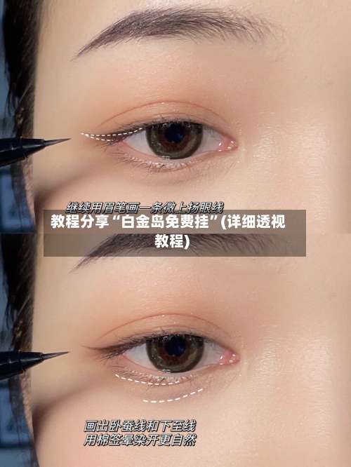 教程分享“白金岛免费挂	”(详细透视教程)-第1张图片