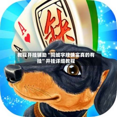 教程开挂辅助“同城字牌确实真的有挂	”开挂详细教程-第2张图片