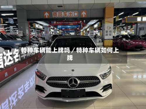 特种车辆能上牌吗/特种车辆如何上牌-第2张图片