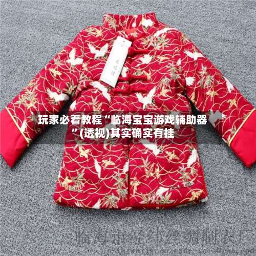 玩家必看教程“临海宝宝游戏辅助器”(透视)其实确实有挂-第1张图片