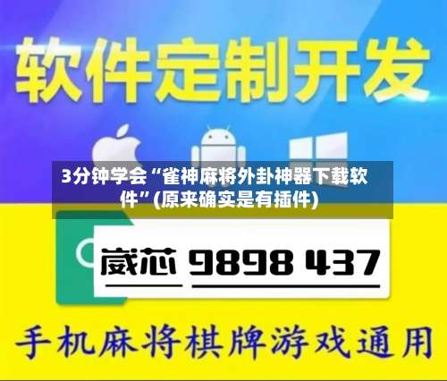 3分钟学会“雀神麻将外卦神器下载软件”(原来确实是有插件)-第2张图片