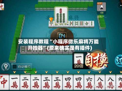 安装程序教程“小程序微乐麻将万能开挂器”(原来确实是有插件)-第1张图片