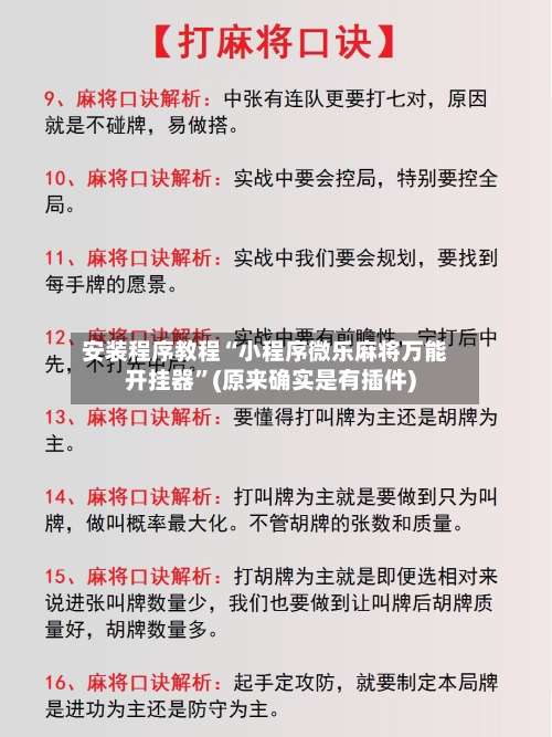 安装程序教程“小程序微乐麻将万能开挂器	”(原来确实是有插件)-第2张图片