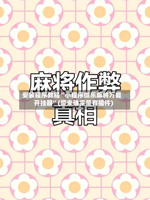 安装程序教程“小程序微乐麻将万能开挂器”(原来确实是有插件)-第3张图片