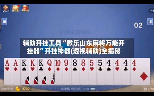 辅助开挂工具“微乐山东麻将万能开挂器”开挂神器{透视辅助}全揭秘-第3张图片