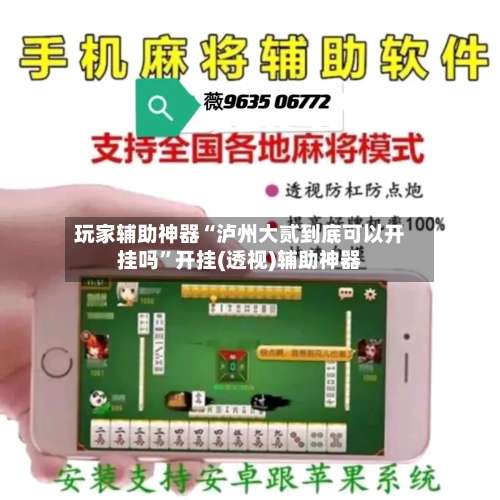 玩家辅助神器“泸州大贰到底可以开挂吗”开挂(透视)辅助神器-第2张图片