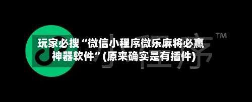 玩家必搜“微信小程序微乐麻将必赢神器软件”(原来确实是有插件)-第1张图片