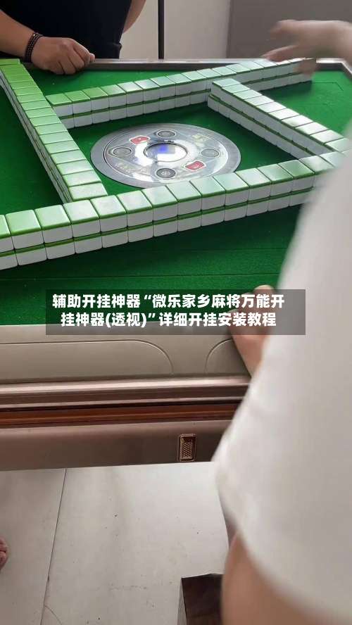 辅助开挂神器“微乐家乡麻将万能开挂神器(透视)”详细开挂安装教程-第3张图片