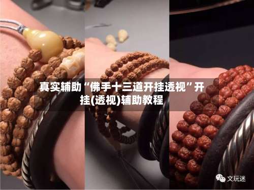 真实辅助“佛手十三道开挂透视”开挂(透视)辅助教程-第1张图片