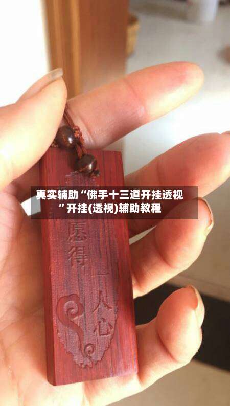 真实辅助“佛手十三道开挂透视	”开挂(透视)辅助教程-第2张图片