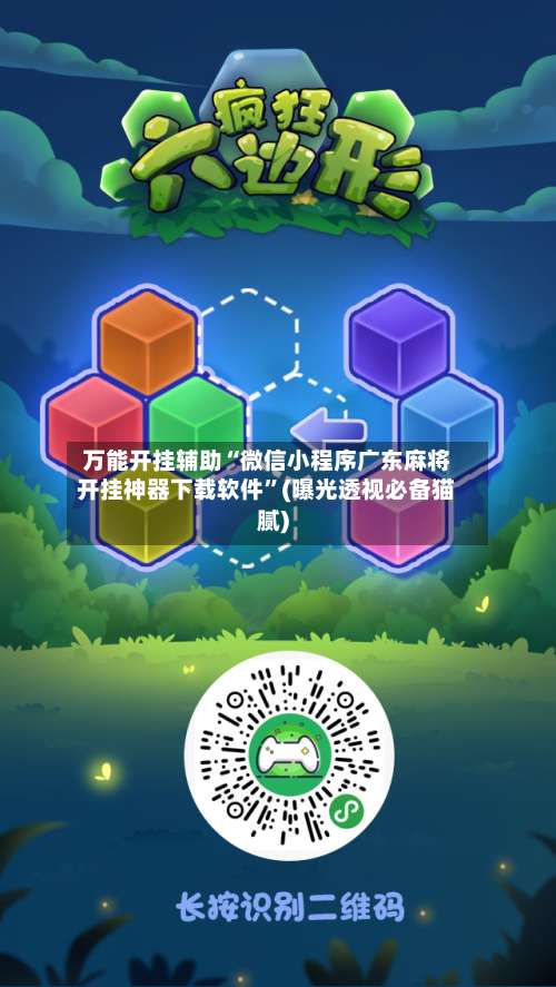 万能开挂辅助“微信小程序广东麻将开挂神器下载软件”(曝光透视必备猫腻)-第3张图片