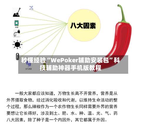 秒懂经验“WePoker辅助安装包”科技辅助神器手机版教程-第2张图片