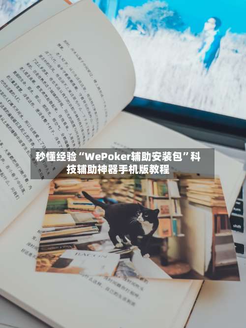 秒懂经验“WePoker辅助安装包	”科技辅助神器手机版教程-第3张图片