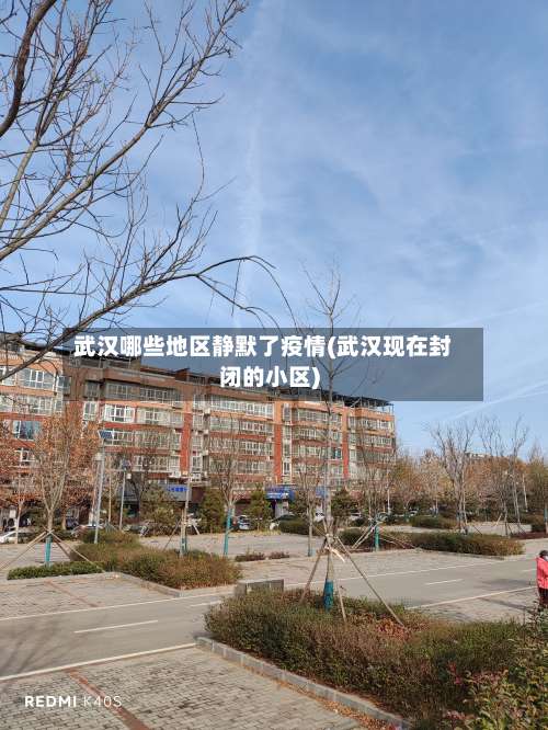 武汉哪些地区静默了疫情(武汉现在封闭的小区)-第3张图片