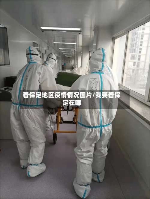 看保定地区疫情情况图片/我要看保定在哪-第1张图片