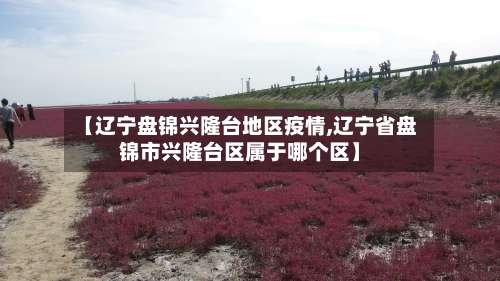 【辽宁盘锦兴隆台地区疫情,辽宁省盘锦市兴隆台区属于哪个区】-第2张图片