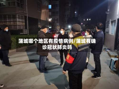 蒲城哪个地区有疫情病例/蒲城有确诊冠状肺炎吗-第2张图片