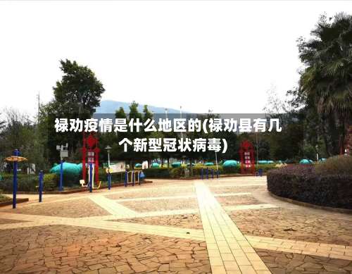 禄劝疫情是什么地区的(禄劝县有几个新型冠状病毒)-第3张图片