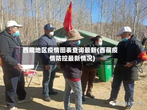 西藏地区疫情图表查询最新(西藏疫情防控最新情况)-第2张图片