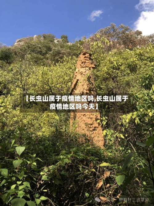 【长虫山属于疫情地区吗,长虫山属于疫情地区吗今天】-第1张图片
