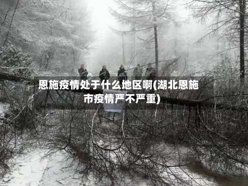 恩施疫情处于什么地区啊(湖北恩施市疫情严不严重)-第2张图片