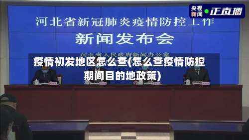 疫情初发地区怎么查(怎么查疫情防控期间目的地政策)-第2张图片