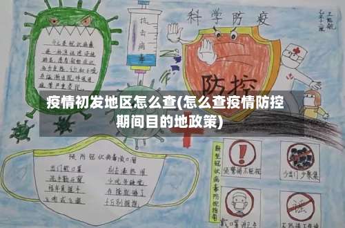 疫情初发地区怎么查(怎么查疫情防控期间目的地政策)-第3张图片