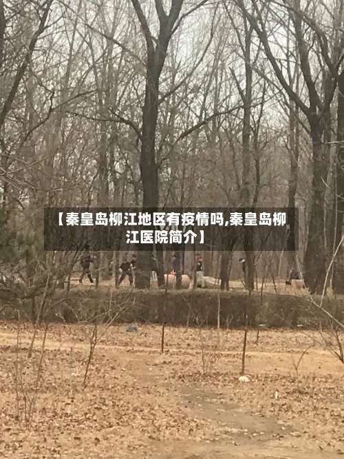 【秦皇岛柳江地区有疫情吗,秦皇岛柳江医院简介】-第3张图片