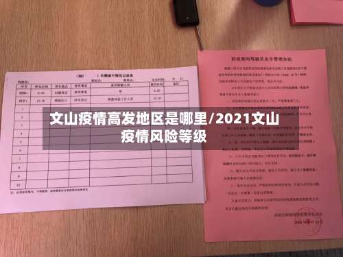 文山疫情高发地区是哪里/2021文山疫情风险等级-第1张图片