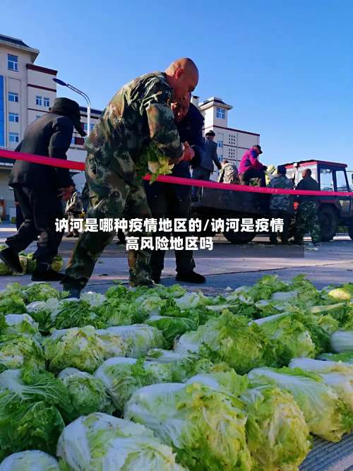 讷河是哪种疫情地区的/讷河是疫情高风险地区吗-第1张图片