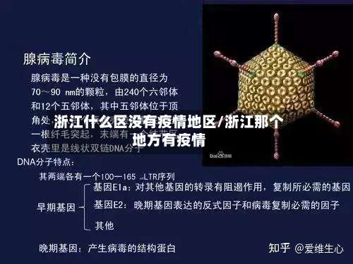 浙江什么区没有疫情地区/浙江那个地方有疫情-第1张图片