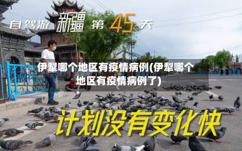 伊犁哪个地区有疫情病例(伊犁哪个地区有疫情病例了)-第3张图片