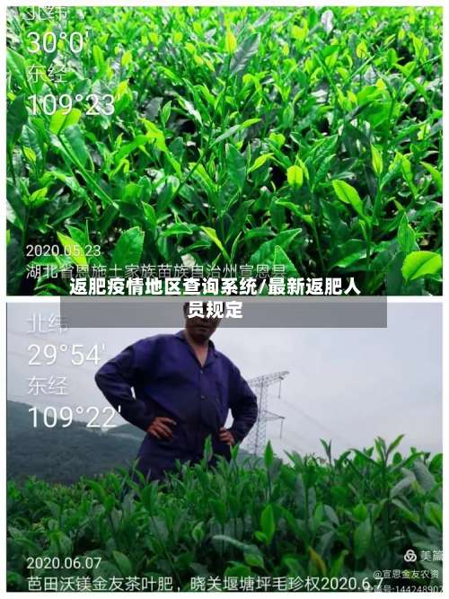 返肥疫情地区查询系统/最新返肥人员规定-第1张图片