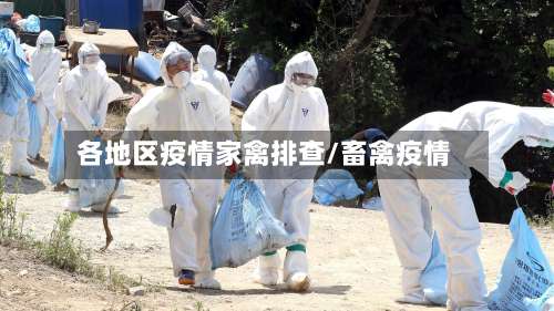 各地区疫情家禽排查/畜禽疫情-第2张图片