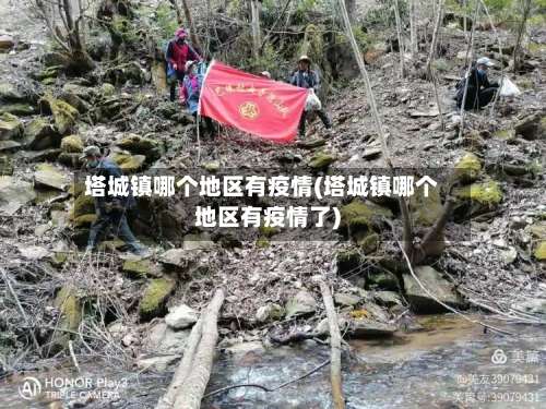 塔城镇哪个地区有疫情(塔城镇哪个地区有疫情了)-第2张图片