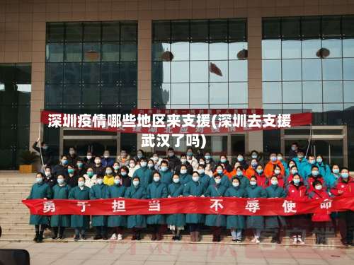 深圳疫情哪些地区来支援(深圳去支援武汉了吗)-第3张图片