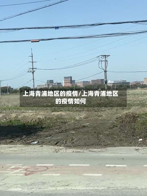 上海青浦地区的疫情/上海青浦地区的疫情如何-第1张图片