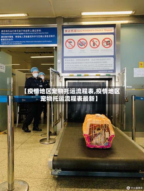 【疫情地区宠物托运流程表,疫情地区宠物托运流程表最新】-第3张图片