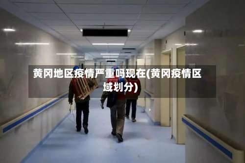 黄冈地区疫情严重吗现在(黄冈疫情区域划分)-第3张图片