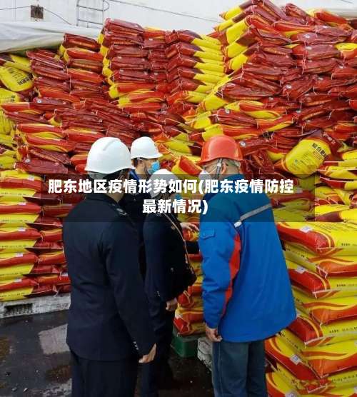 肥东地区疫情形势如何(肥东疫情防控最新情况)-第1张图片