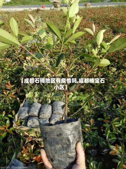 【成都石楠地区有疫情吗,成都楠宝石小区】-第2张图片