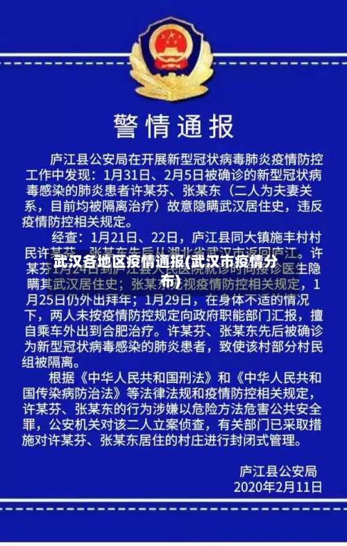 武汉各地区疫情通报(武汉市疫情分布)-第2张图片