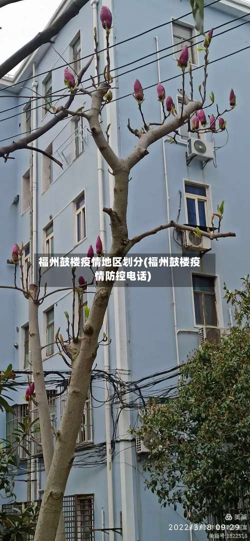 福州鼓楼疫情地区划分(福州鼓楼疫情防控电话)-第2张图片